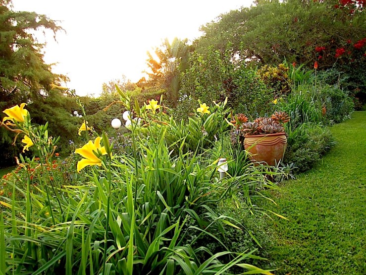 enclos*ure: our Kigali garden, June 2014 - upper lawn