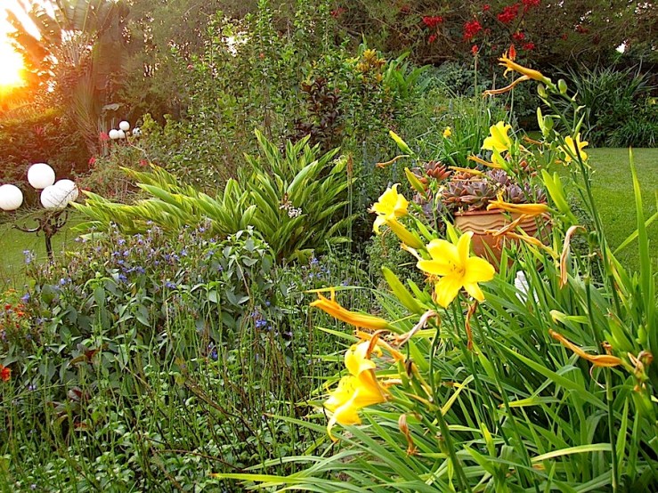 enclos*ure: our Kigali garden, June 2014 - upper lawn