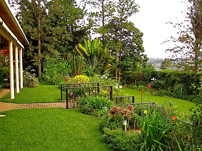 enclos*ure: our Kigali garden, June 2014 - upper lawn