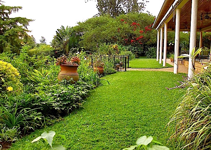 enclos*ure: our Kigali garden, June 2014 - upper lawn