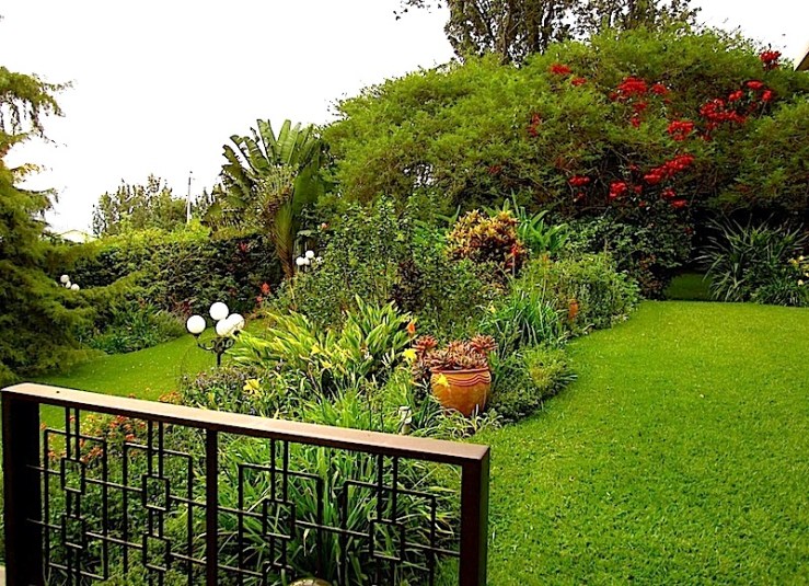 enclos*ure: our Kigali garden, June 2014 - upper lawn