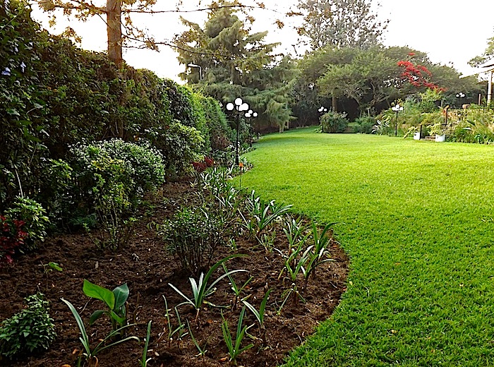enclos*ure: our Kigali garden, Summer 2012 - lower lawn