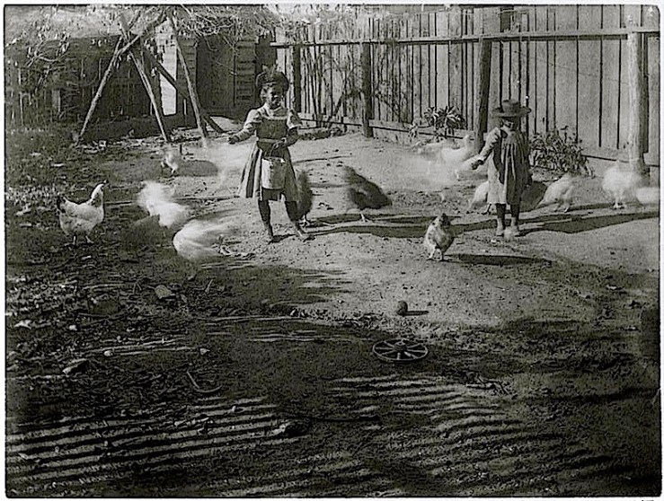 Feeding chickens, ca. 1899 Georgia, Library of Congress