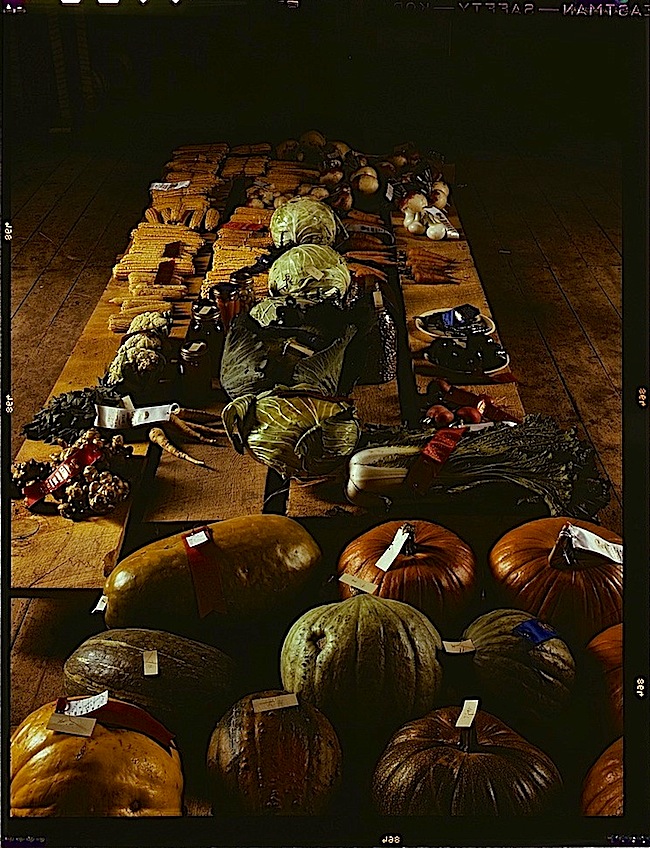 Harvest, 1940s, Library of Congress