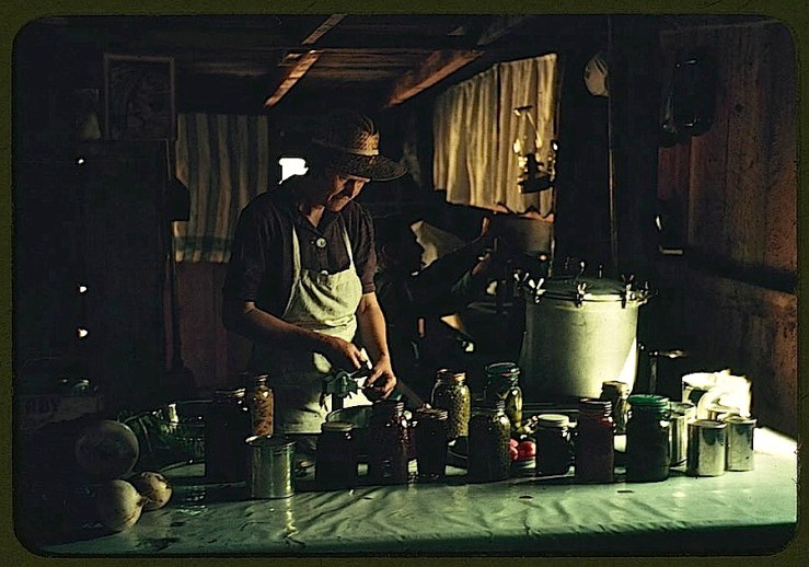 Harvest, 1940s, Library of Congress