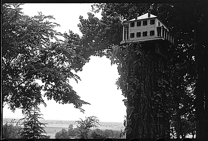 Farmhouse birdhouse 2, via Library of Congress