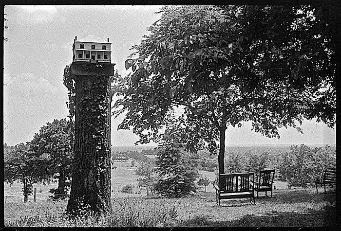Farmhouse birdhouse, via Library of Congress