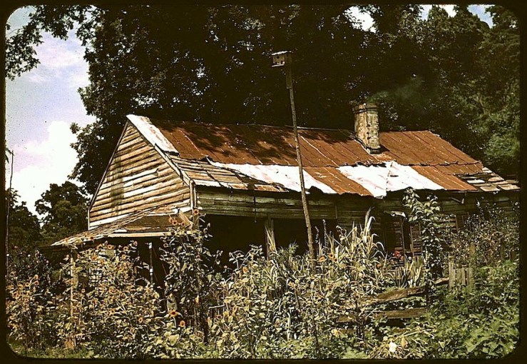 Miss. house surrounded by sunflowers, via LoC