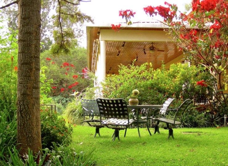 Our garden in June (the photo above, as well).