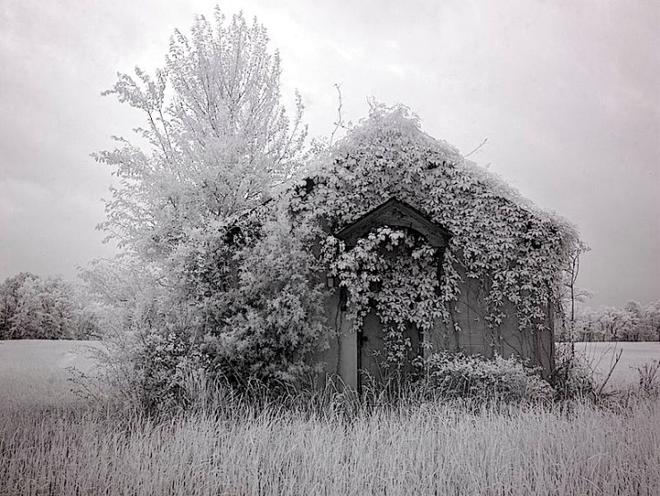 C. Highsmith cabin with vines, LoC 2