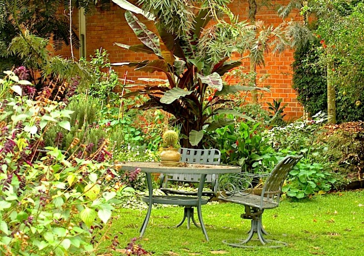 This morning in our garden. The sky is overcast; the rainy season  has not quite come to an end.