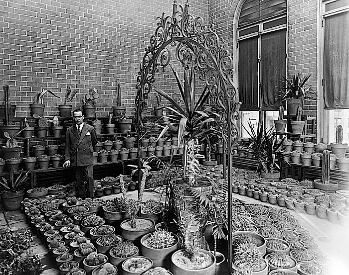 Mexican Embassy cacti, Library of Congress