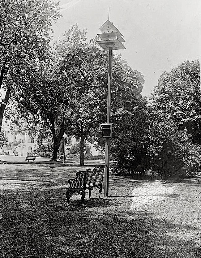 Wh.House birdhouse, Harding Admin., via Library of Congress