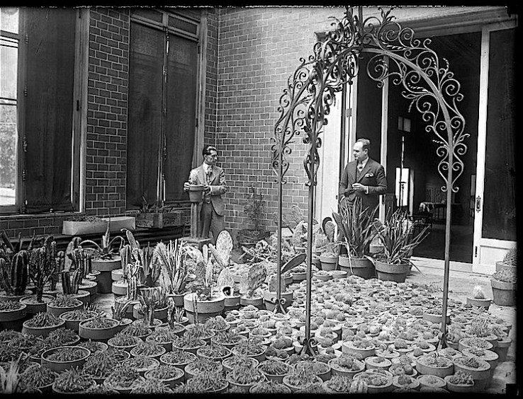 Amb. and artist in cactus garden, Mexican Amb.'s residence, via Library of Congress