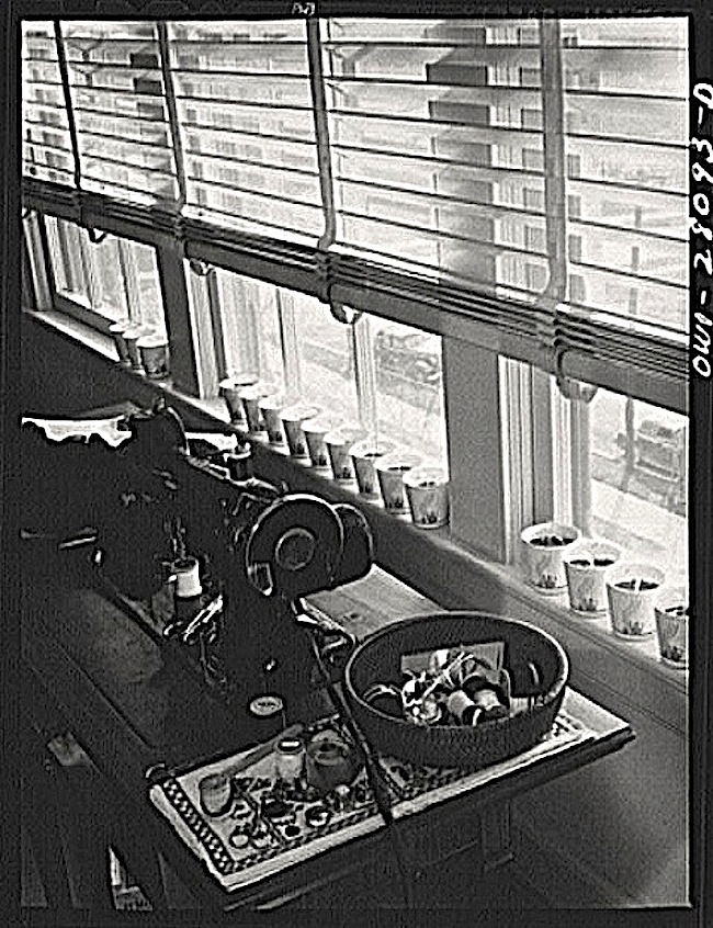 Starting seeds 2, 1943, L. Rosskam, Library of Congress