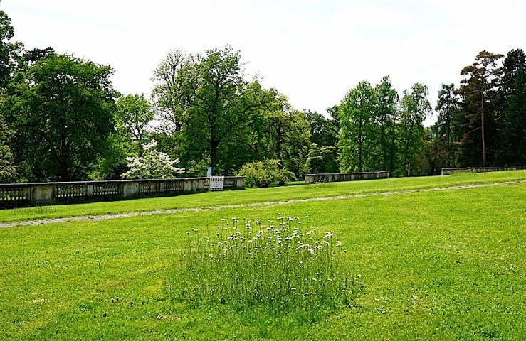 Hohenheim lawn 10, enclos*ure