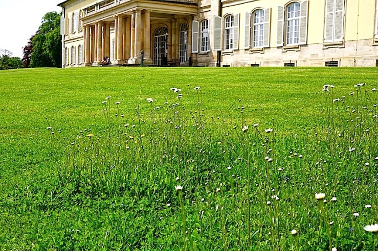 Hohenheim lawn 8, enclos*ure