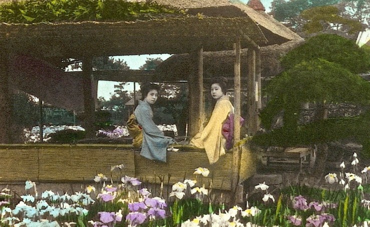 Japanese Iris Garden, cropped 1