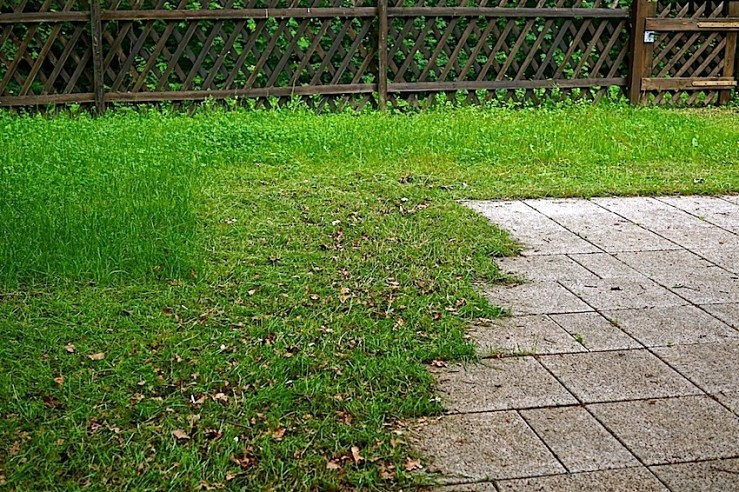 our yard 17, enclos*ure