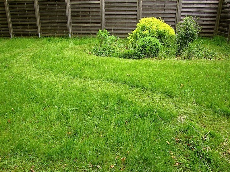 our yard 2, enclos*ure