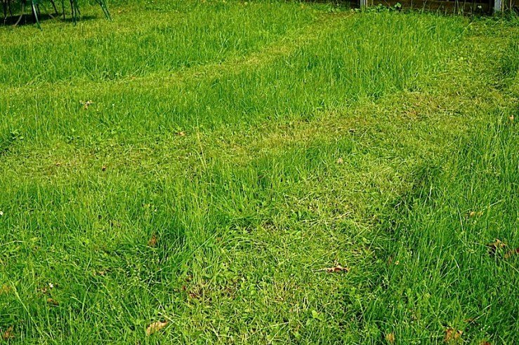 our yard 30, enclos*ure