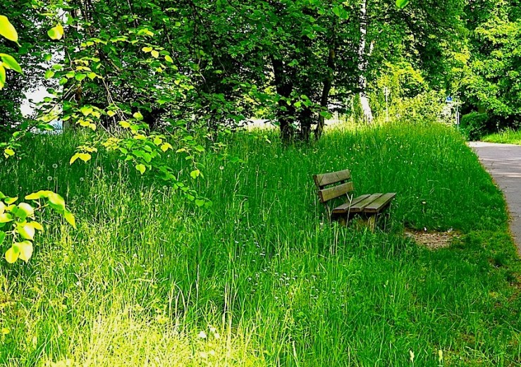 Plienigen-Stuttgart, enclos*ure