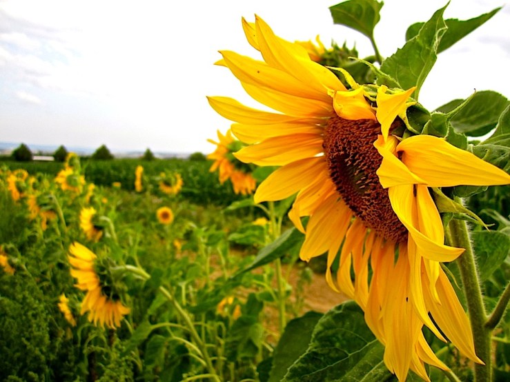 Yesterday evening about 7 p.m.