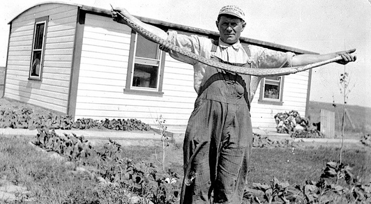 Man with snake, Alabama, 1948, via Galt Museum