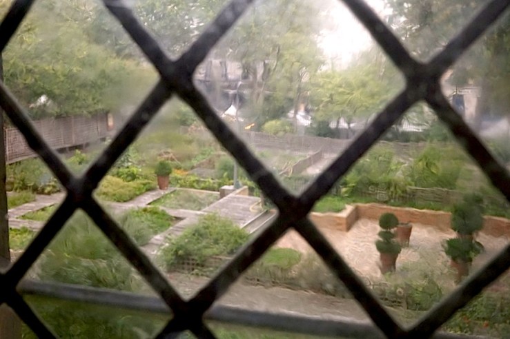 Cluny Museum, Paris, Sept. 2015, by enclos*ure