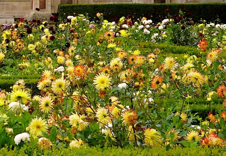 Jardin de l'infante,detail 3, Louvre, Paris, Sept 2015, by enclos*ure