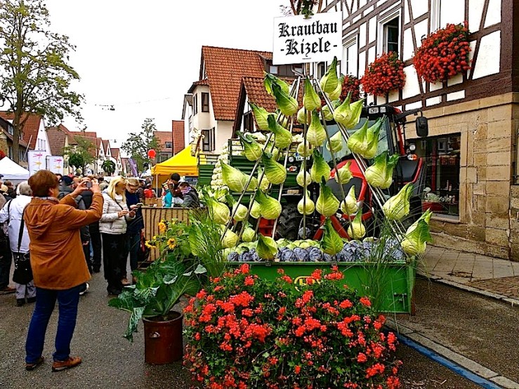 10 Cabbage Fest, enclos*ure