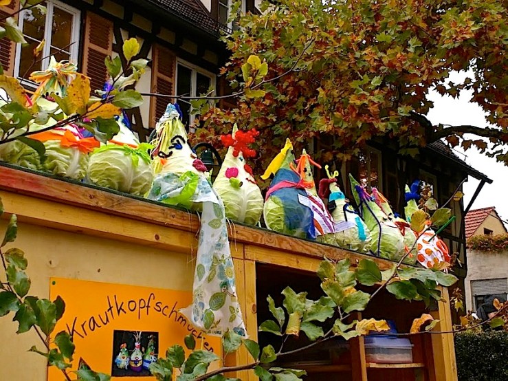 12 Cabbage Fest, enclos*ure