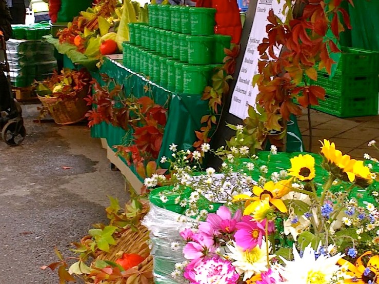 14 Cabbage Fest, enclos*ure