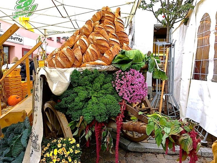 22 Cabbage Fest, enclos*ure