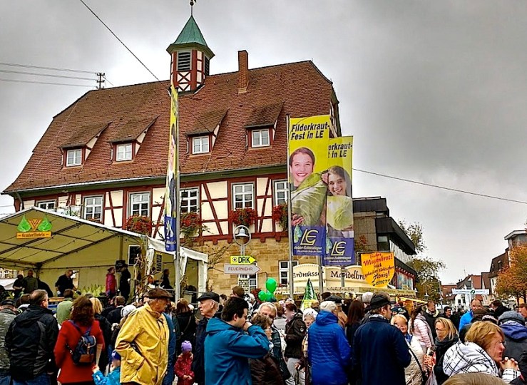 23 Cabbage Fest, enclos*ure