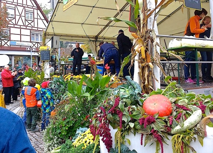 25 Cabbage Fest, enclos*ure