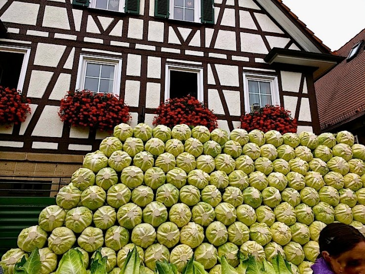 3 Cabbage Fest, enclos*ure