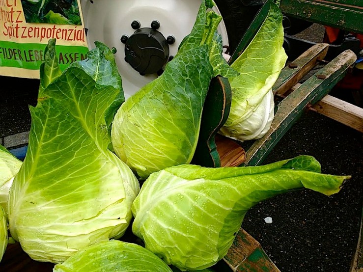 9 Cabbage Fest, enclos*ure