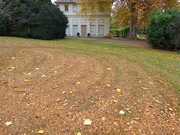 The Hohenheim Palace botanical gardens, November 1, 2015, by enclos*ure