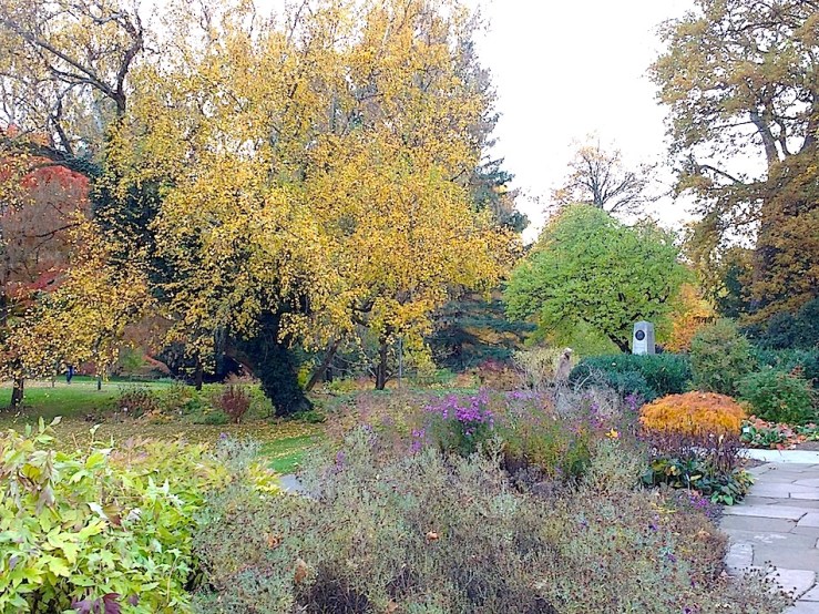 The Hohenheim Palace botanical gardens, November 1, 2015, by enclos*ure