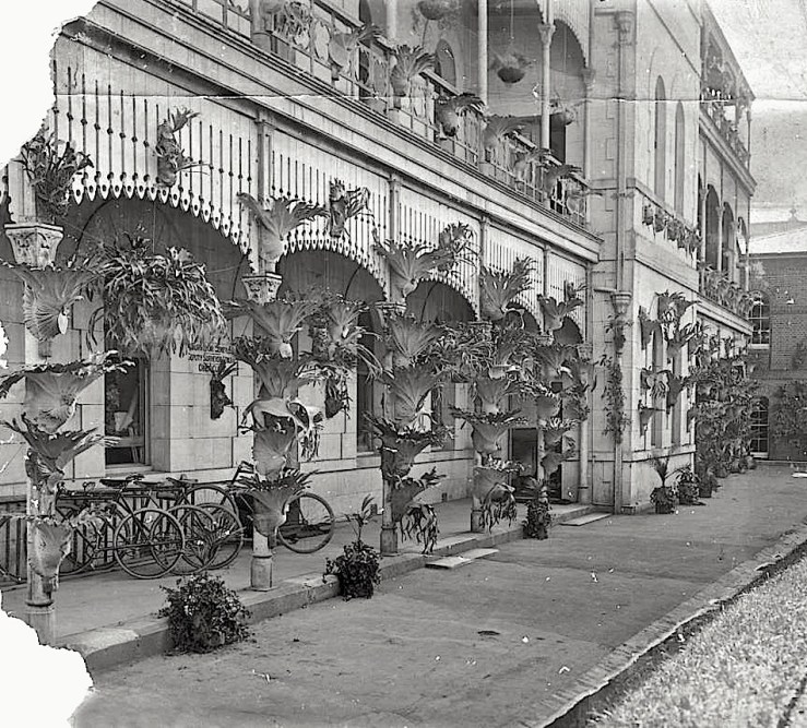 Lands Office, Brisbane, 1914, State Library of Queensland