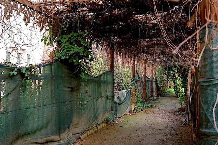 Palace Gardens, Venice, 2015, enclos*ure