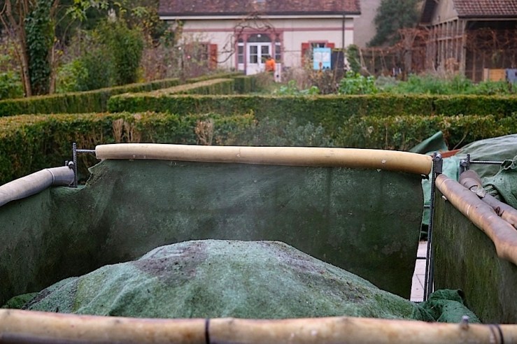 The back garden, Mission 21, Basel, Switzerland, late November 2015, by enclos*ure