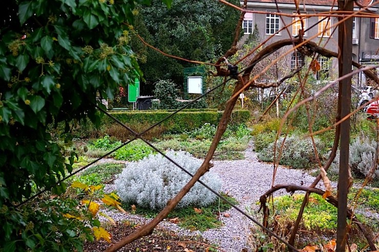 The back garden, Mission 21, Basel, Switzerland, late November 2015, by enclos*ure