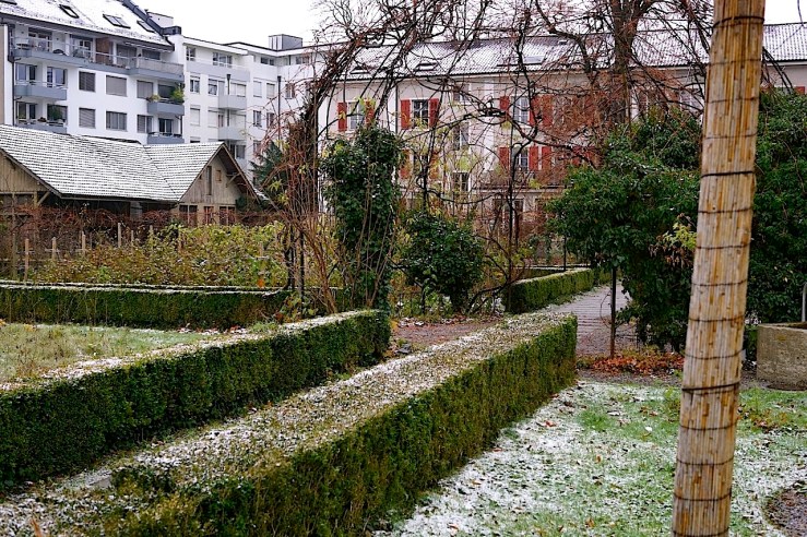 The back garden, Mission 21, Basel, Switzerland, late November 2015, by enclos*ure