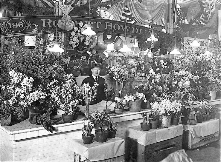 Center Market, Washington, D.C., February 18, 1915, via National Archives