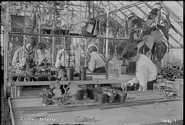 Botany class, Barnard College, Library of Congress