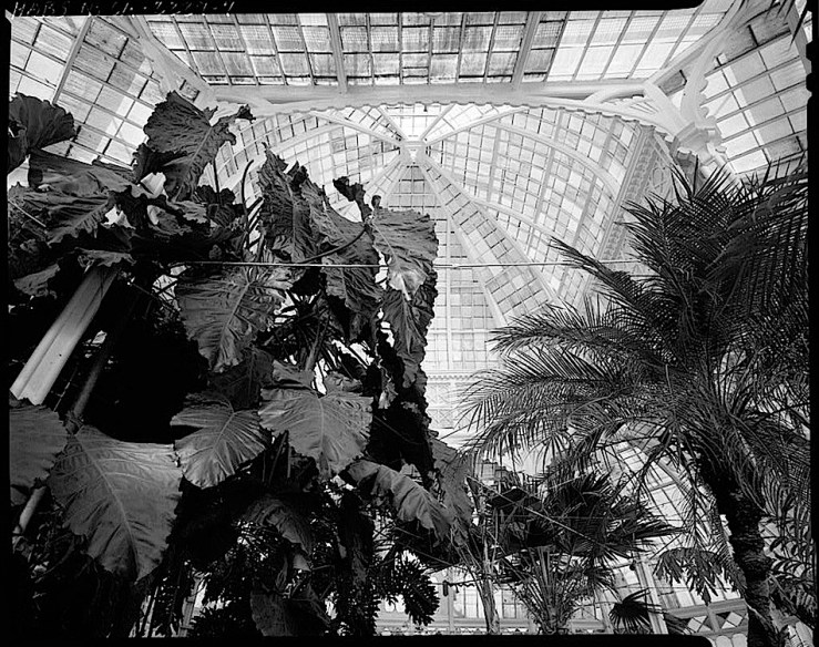 Conservatory Dome 1, by J. Lowe, 1981, San Francisco, Library of Congress