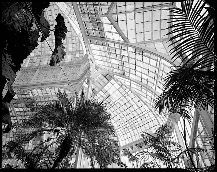 Conservatory Dome 2, by J. Lowe, 1981, San Francisco, Library of Congress