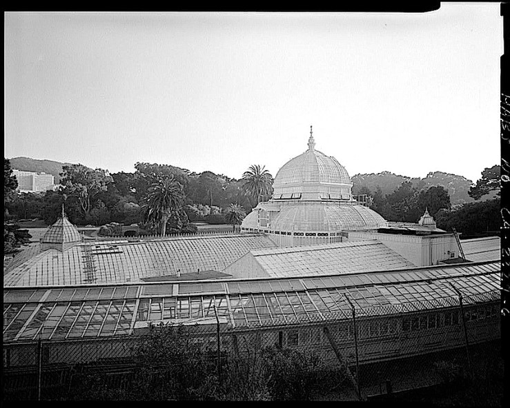 Conservatory Exterior, by J. Lowe, 1981, San Francisco, Library of Congress